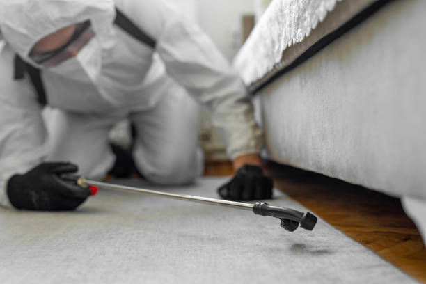 Professional Bed Bug Control technician working in El Paso, IL