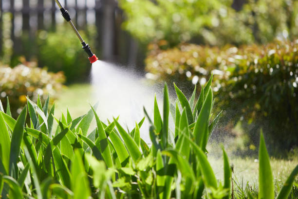 24/7 Emergency Bed Bug Control experts in El Paso, IL