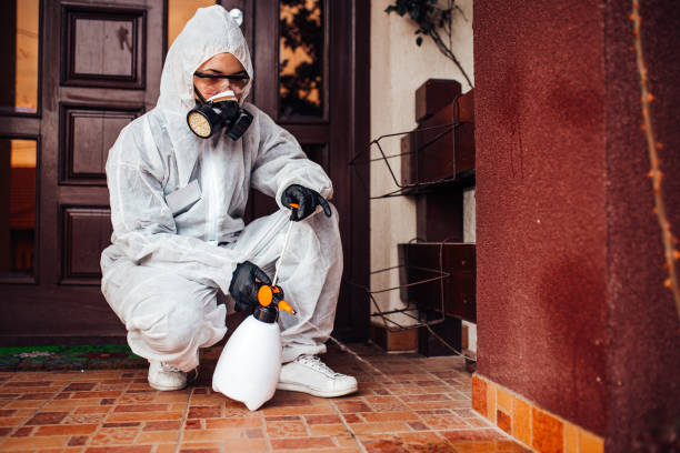 Reliable Bed Bug Control contractor in El Paso, IL by Nex Pest Control
